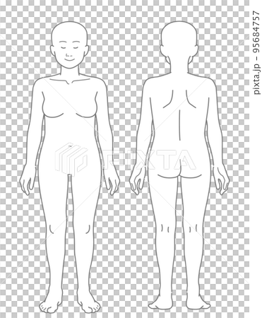 【頭髪なし】ぽっちゃり体型な女性の裸の全身イラスト（前面・背面セット） 95684757