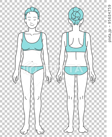 下着着用の女性の人体図（正面と後ろ姿のセット） 95684759