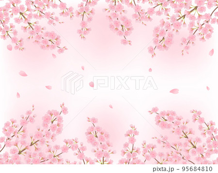 満開の桜_フレーム 95684810