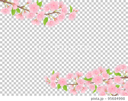 葉桜のフレーム 95684998
