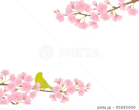 満開の桜とメジロ_フレーム 95685000