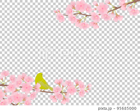 満開の桜とメジロ_フレーム 95685000
