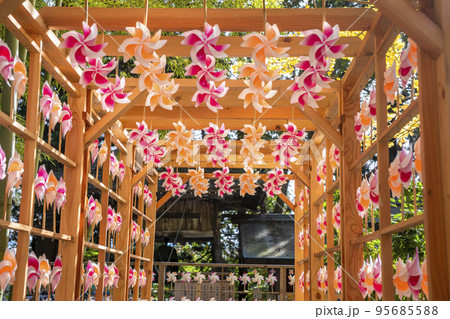 秋の熊野神社(熊野大社)の風景　秋の風花（かざはな）　山形県南陽市 95685588