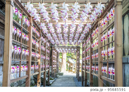 秋の熊野神社(熊野大社)の風景　秋の風花（かざはな）　山形県南陽市 95685591