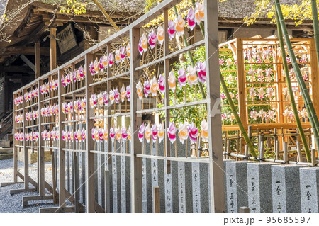 秋の熊野神社(熊野大社)の風景 秋の風花(かざはな) 山形県南陽市 秋の熊野神社(熊野大社)の風景 秋の風花(かざはな) 山形県南陽市 95685597