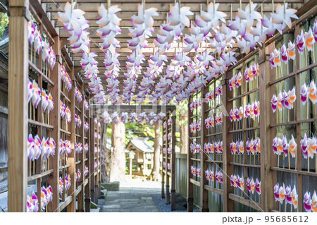 秋の熊野神社(熊野大社)の風景　秋の風花（かざはな）　山形県南陽市 95685612