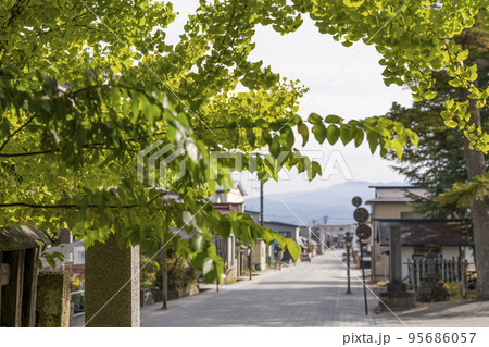 秋の風景 熊野大社のいちょうの木と参道 山形県南陽市 秋の風景 熊野大社のいちょうの木と参道 山形県南陽市 95686057