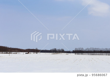 北海道　十勝地方　牧場のある風景（冬） 95686067
