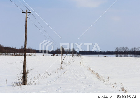 北海道　十勝地方　牧場のある風景（冬） 95686072