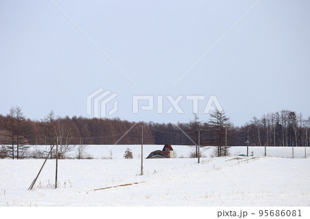 北海道　十勝地方　牧場のある風景（冬） 95686081