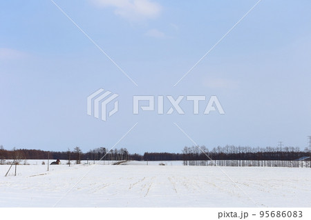 北海道　十勝地方　牧場のある風景（冬） 95686083