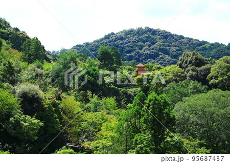 清水寺 本堂から見た子安塔 清水寺 本堂から見た子安塔 95687437