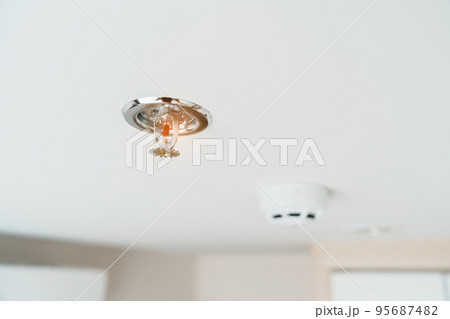 Fire Sprinkler and Smoke sensor detector mounted on roof in home or apartment. Safety and conflagration security concept Fire Sprinkler and Smoke sensor detector mounted on roof in home or apartment. Safety and conflagration security concept 95687482