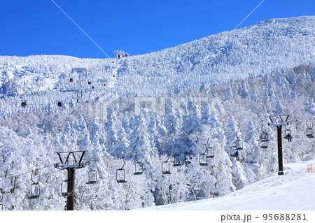 山形県 蔵王の樹氷 山形県 蔵王の樹氷 95688281