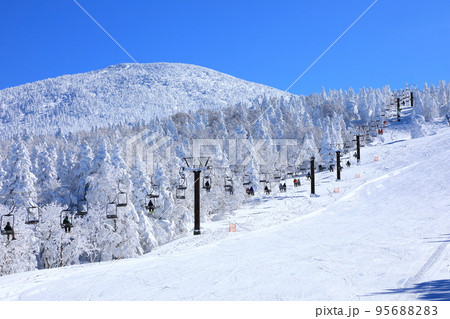 山形県　蔵王の樹氷 95688283