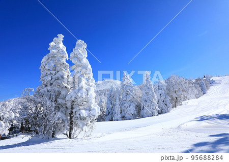 山形県　蔵王の樹氷 95688284