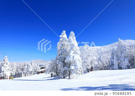 山形県 蔵王の樹氷 山形県 蔵王の樹氷 95688285