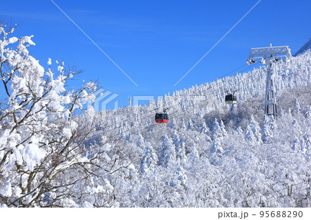山形県　蔵王の樹氷 95688290