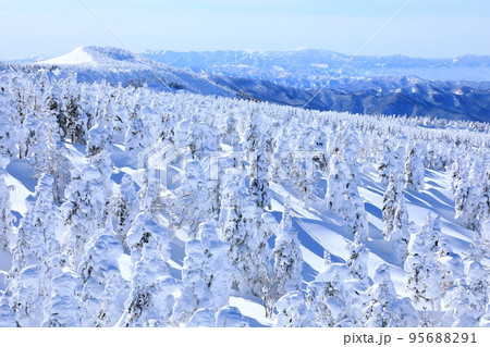 山形県　蔵王の樹氷 95688291