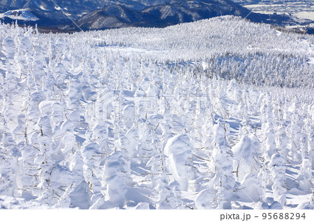 山形県　蔵王の樹氷 95688294
