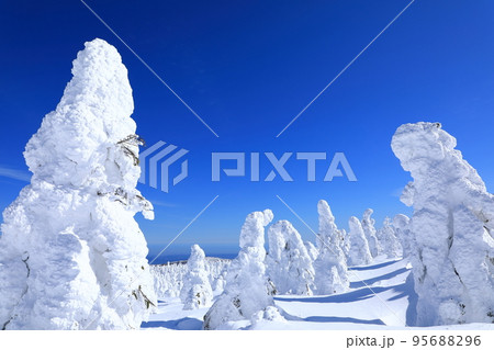 山形県　蔵王の樹氷 95688296