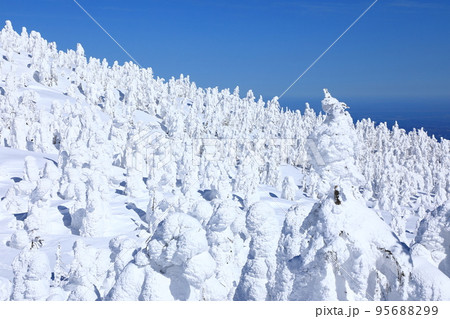 山形県 蔵王の樹氷 山形県 蔵王の樹氷 95688299