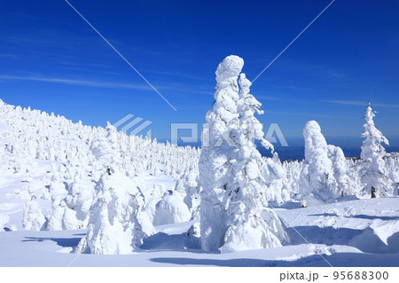 山形県　蔵王の樹氷 95688300