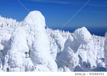 山形県　蔵王の樹氷 95688301