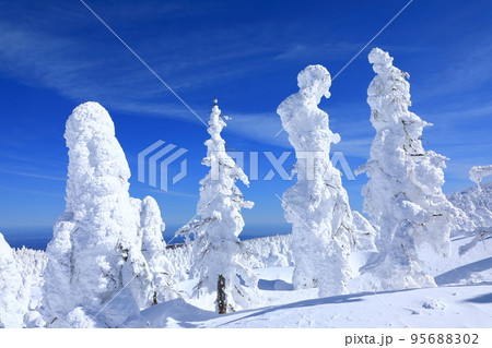 山形県 蔵王の樹氷 山形県 蔵王の樹氷 95688302
