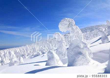 山形県 蔵王の樹氷 山形県 蔵王の樹氷 95688303