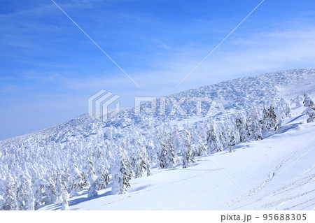 山形県 蔵王の樹氷 山形県 蔵王の樹氷 95688305