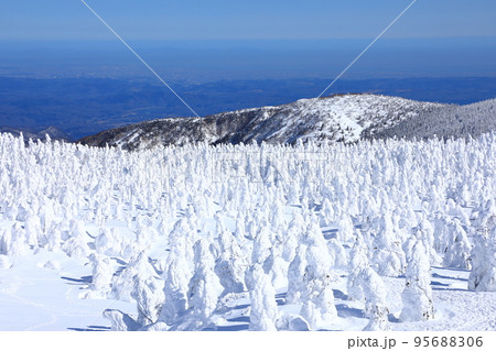 山形県 蔵王の樹氷 山形県 蔵王の樹氷 95688306