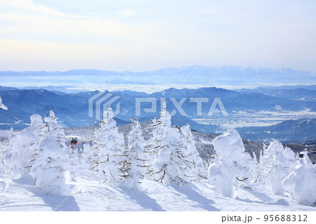 山形県　蔵王の樹氷 95688312