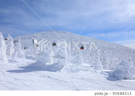 山形県　蔵王の樹氷 95688313