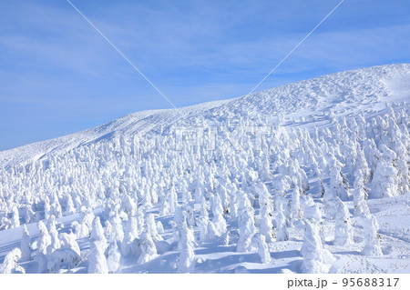 山形県　蔵王の樹氷 95688317