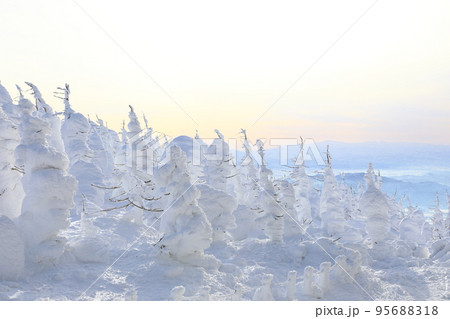 山形県 蔵王の樹氷 山形県 蔵王の樹氷 95688318