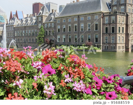 オランダ　ハーグ　花々と池と　ビネンホフ 95688559