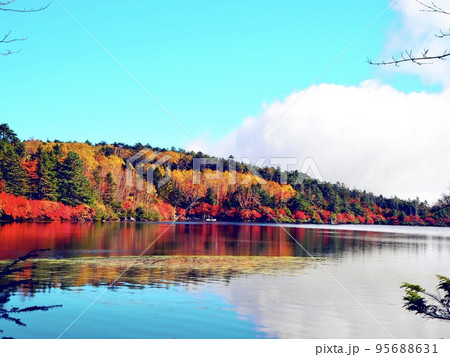 秋の紅葉 白駒池の景色 絶景 秋の紅葉 白駒池の景色 絶景 95688631