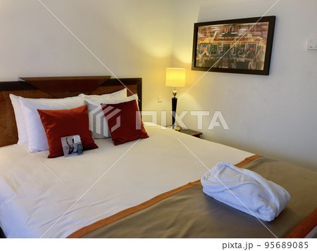 オランダ　ハーグ　ホテルのツインルームと　壁の絵画 95689085