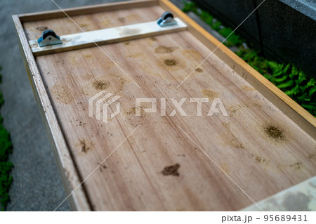 木製の家具にカビが大量発生 木製の家具にカビが大量発生 95689431