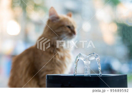 Ginger cat drinks fresh water from an electric drinking fountain. Ginger cat drinks fresh water from an electric drinking fountain. 95689592
