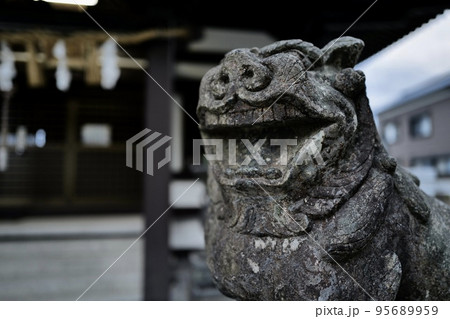 神社の拝殿の前や参道の要所に左右「一対」となって設置されている狛犬（こまいぬ）は、神前を護っている 95689959
