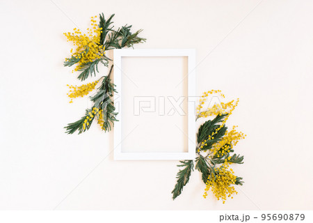 Empty white frame and yellow mimosa flowers on a white background of the top view with space copy. Flat lay Empty white frame and yellow mimosa flowers on a white background of the top view with space copy. Flat lay 95690879