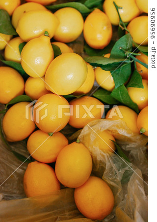 Fruit background of yellow Uzbek lemons Fruit background of yellow Uzbek lemons 95690956