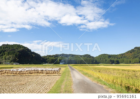 秋の田園風景 95691161