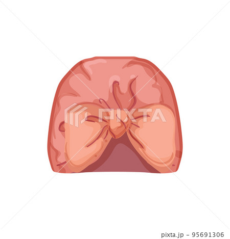 sikh turban indian cartoon vector illustration sikh turban indian cartoon vector illustration 95691306