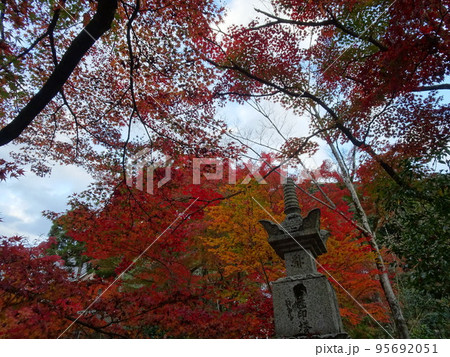 京都の紅葉をめぐる　永観堂編 95692051