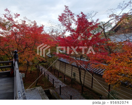京都の紅葉をめぐる　永観堂編 95692074