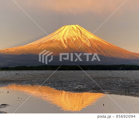 黄金色に輝く富士山と水たまりに映る逆さ富士の写真素材 [95692094 
