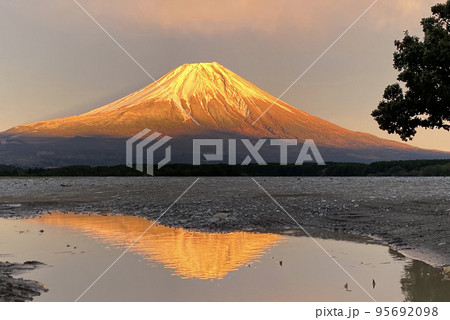黄金色に輝く富士山の年賀状素材の写真素材 [95692098] - PIXTA